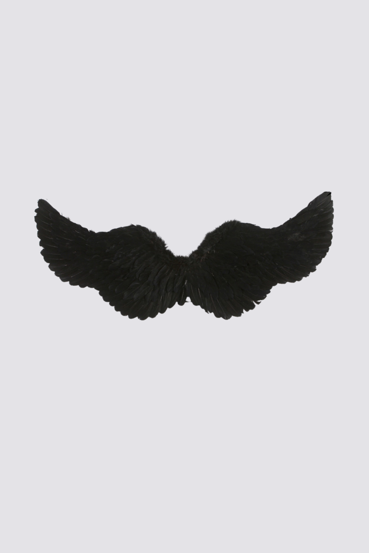 Concrete Fade Feather Wings