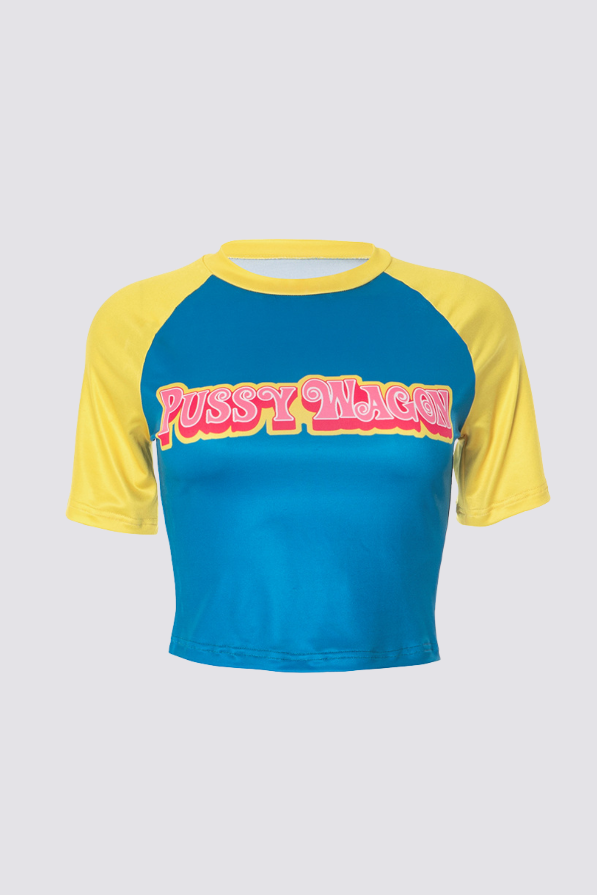 Mist Frame Print Crop Top